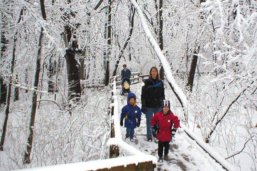winter_boardwalk3dup